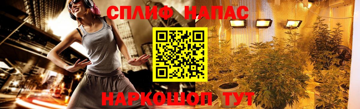 Канабис сатива  Каннабис AK-47  Конопля Ganja  Вход с VPN  Бошки Шишки Bruce Banner  Лениногорск 